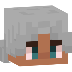 Странник с седыми волосами - Голова