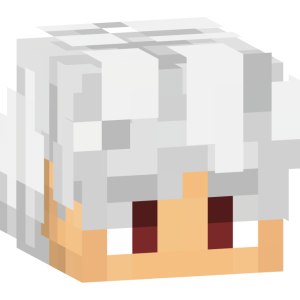 Пепельноволосый странник в бордовом - Голова