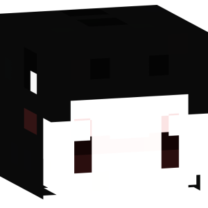 Милый косатка-бой - Голова