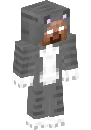 Таинственный серый котик