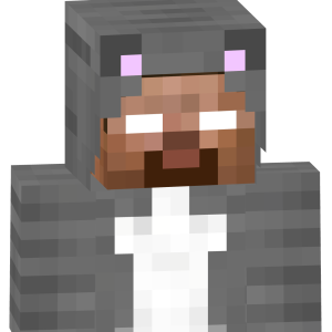 Таинственный серый котик - Спереди