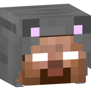 Таинственный серый котик - Голова