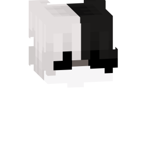 Черно-белый дуализм - Спереди