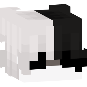 Черно-белый дуализм - Голова