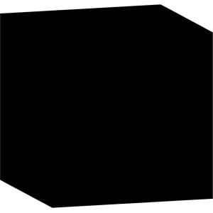 Абсолютный силуэт - Голова