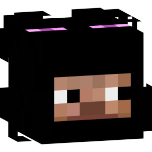 Странник Эндер-мира - Голова