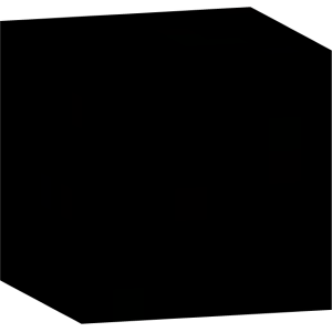 Абсолютная тень - Голова