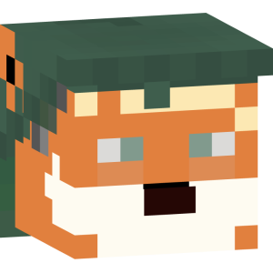 Лесной странник в капюшоне - Голова