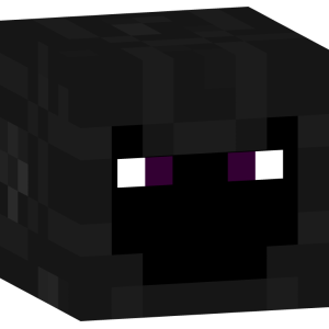 Теневой странник пустоты - Голова