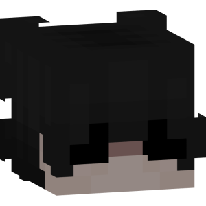 Мрачный теневой странник - Голова