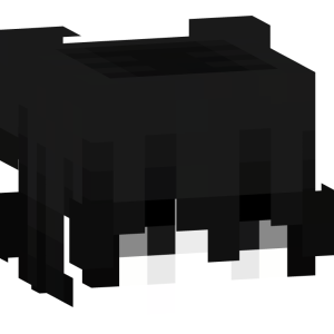 Меланхоличный монохромный аниме-бой - Голова