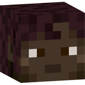 Солнечная путешественница - Голова