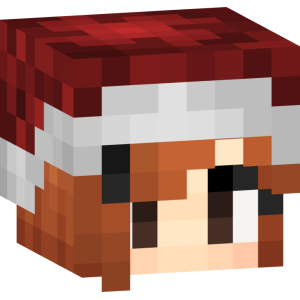 Праздничная зимняя леди - Голова