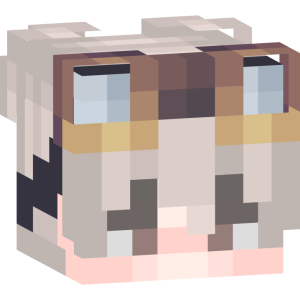 Пепельный механик в очках - Голова