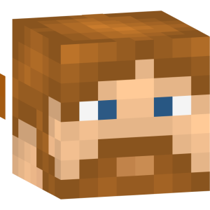 Странник в коричневой тунике - Голова