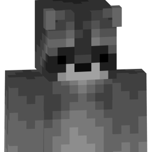 Озорной лесной енот - Спереди